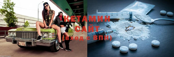 сатива Дмитриев