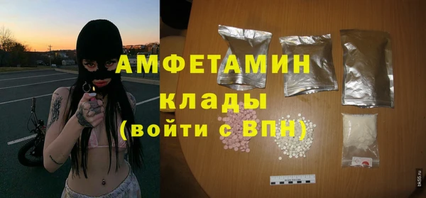 индика Заводоуковск