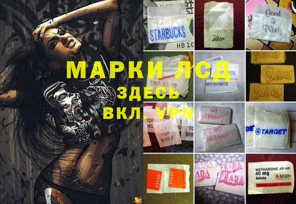 индика Заводоуковск